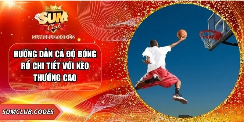 huong-dan-ca-do-bong-ro-anh-dai-dien