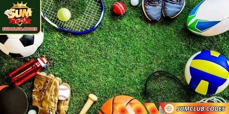 Xem xét điều kiện thi đấu để có tips cá cược thể thao chuẩn